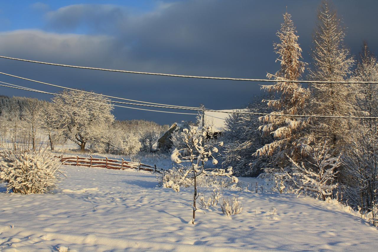 Bed and Breakfast Dom Na Klonowym Wzgorzu Stronie Śląskie Esterno foto