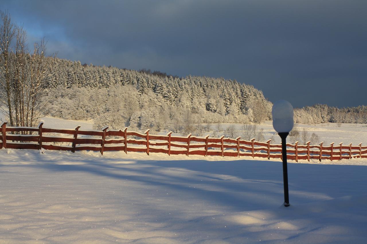 Bed and Breakfast Dom Na Klonowym Wzgorzu Stronie Śląskie Esterno foto