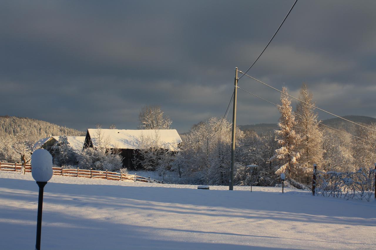 Bed and Breakfast Dom Na Klonowym Wzgorzu Stronie Śląskie Esterno foto