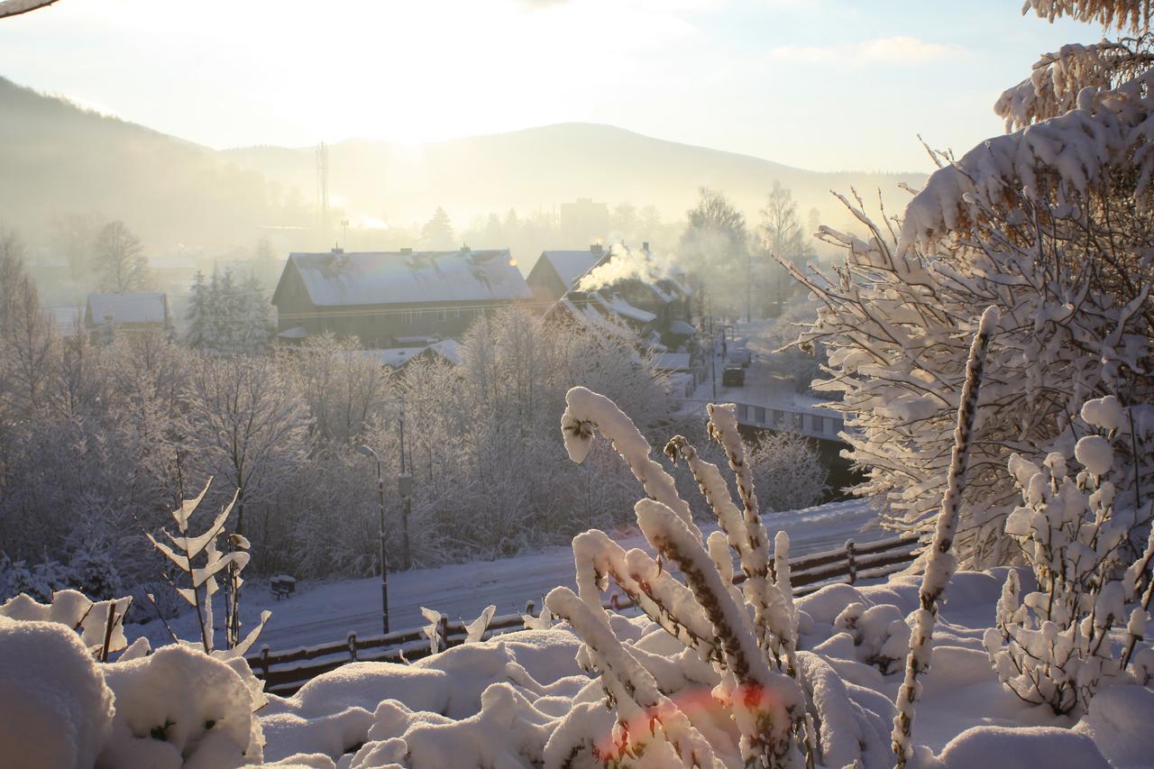 Bed and Breakfast Dom Na Klonowym Wzgorzu Stronie Śląskie Esterno foto