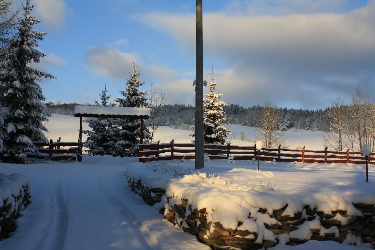 Bed and Breakfast Dom Na Klonowym Wzgorzu Stronie Śląskie Esterno foto
