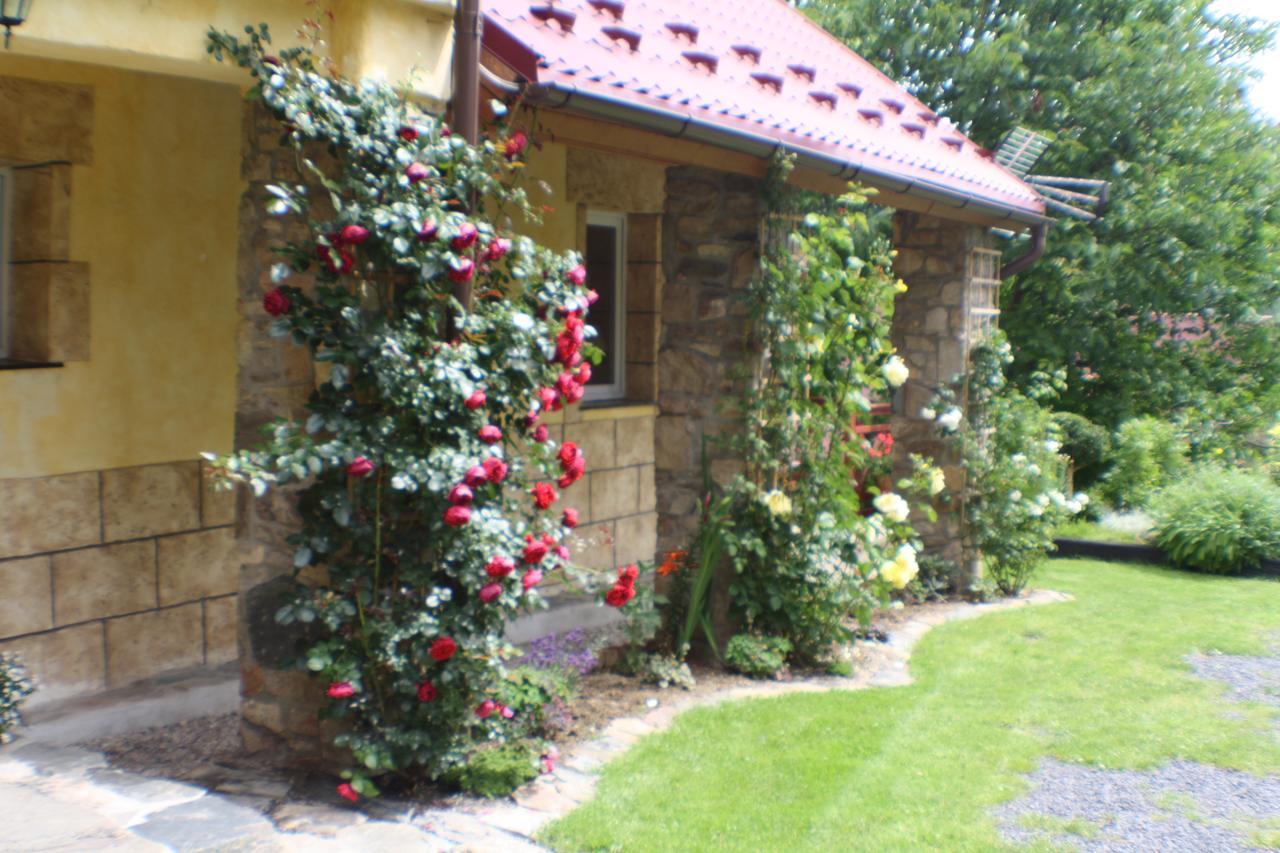 Bed and Breakfast Dom Na Klonowym Wzgorzu Stronie Śląskie Esterno foto
