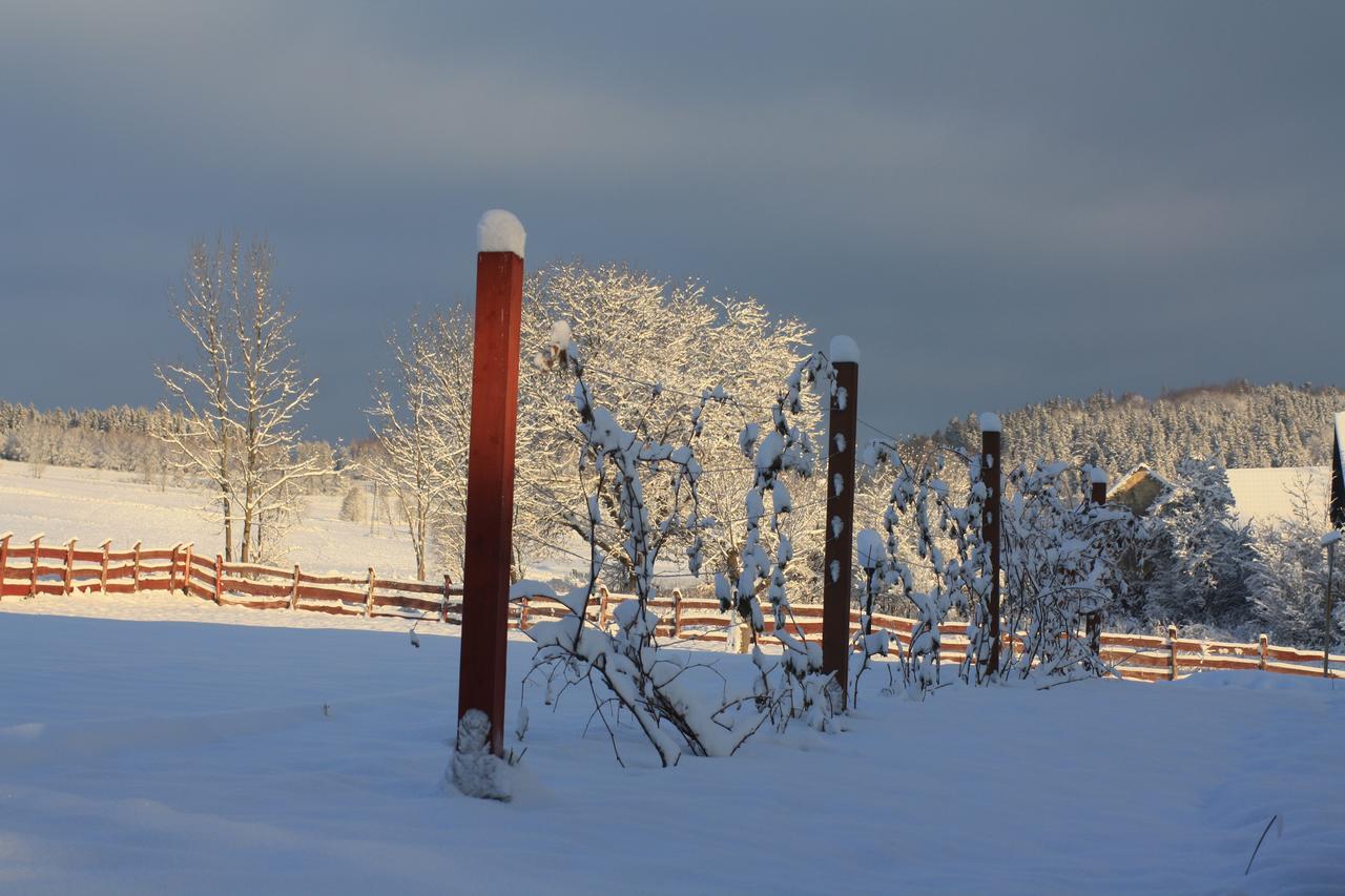 Bed and Breakfast Dom Na Klonowym Wzgorzu Stronie Śląskie Esterno foto