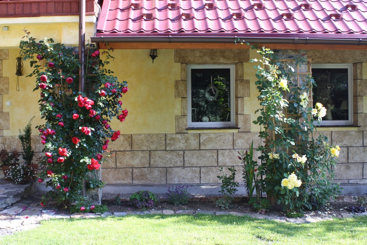 Bed and Breakfast Dom Na Klonowym Wzgorzu Stronie Śląskie Esterno foto