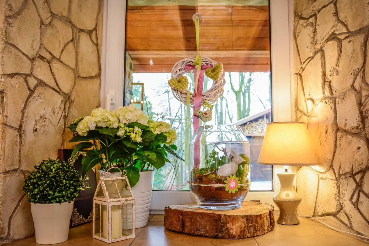 Bed and Breakfast Dom Na Klonowym Wzgorzu Stronie Śląskie Esterno foto