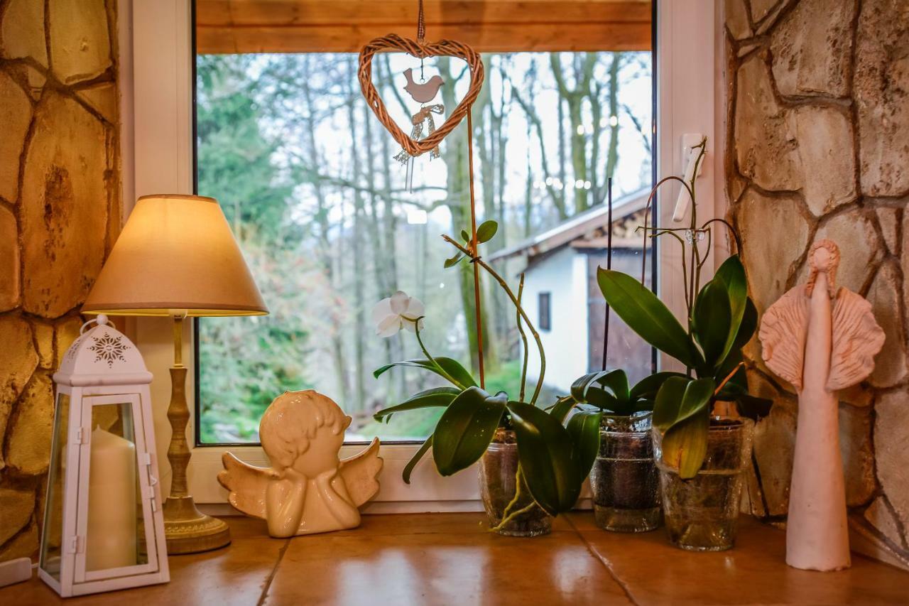 Bed and Breakfast Dom Na Klonowym Wzgorzu Stronie Śląskie Esterno foto
